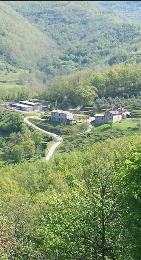 Вілла Le Chianine Dei Tognoli Gragnola Екстер'єр фото